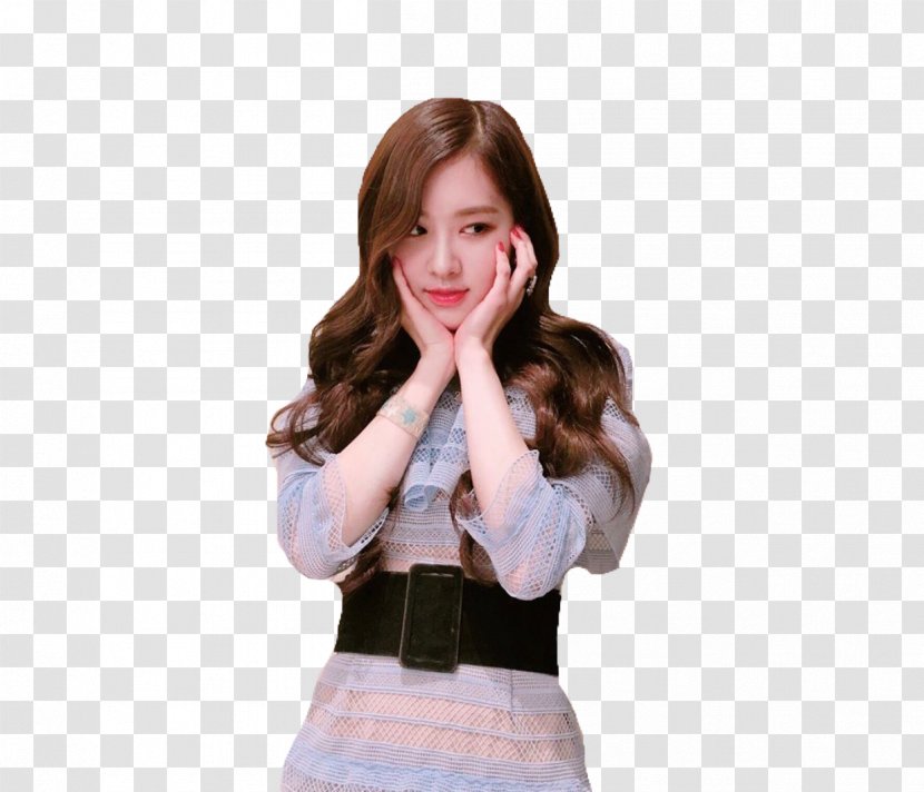 CHAEYOUNG Rosé BLACKPINK K-pop YG Entertainment - Cartoon - Download Foto Blackpink Lisa Transparent PNG