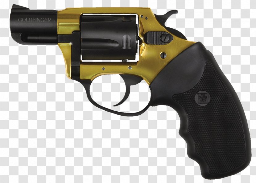 .38 Special Charter Arms Firearm .357 Magnum .44 - Undercover - Air Gun Transparent PNG