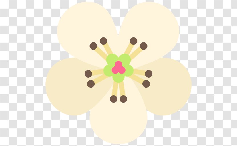 Flower Petal Blossom - Petals Transparent PNG