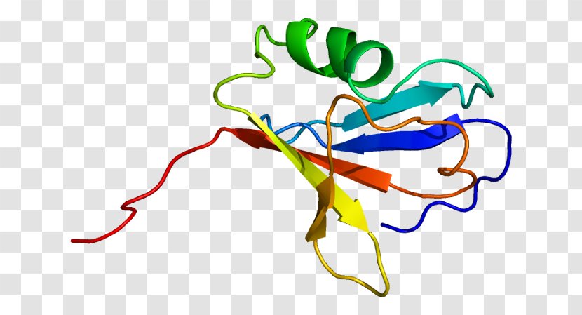 ARAF Protein Kinase Serine - Frame - Watercolor Transparent PNG