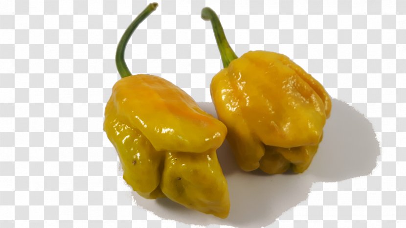 Habanero Chili Pepper Yellow Bell Paprika - Peppers - Bhut Jolokia Transparent PNG