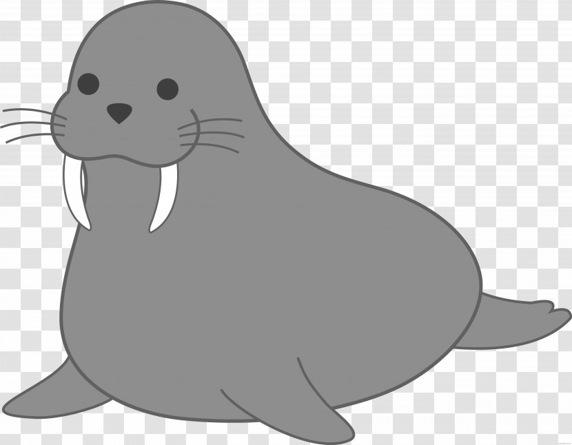 Walrus Earless Seal Clip Art Free Content - Drawing Transparent PNG