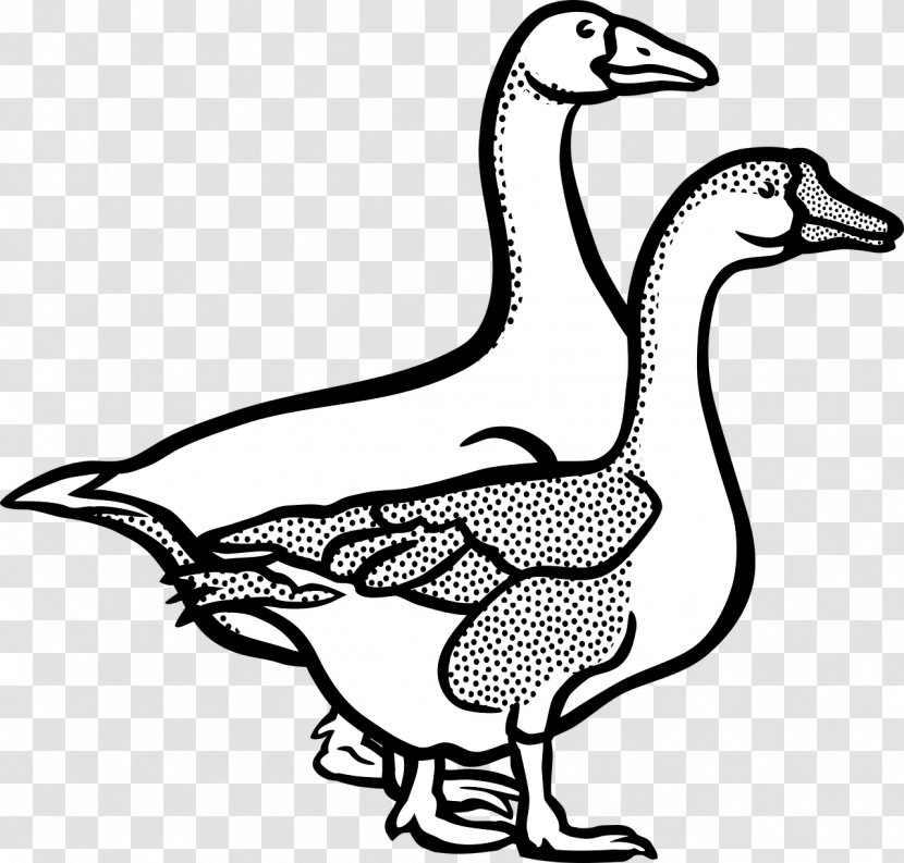 Goose Line Art Duck Clip - Fowl Transparent PNG