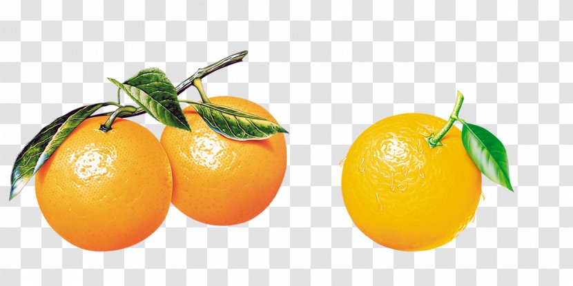 Orange Tangerine Citrus Xd7 Sinensis Frutti Di Bosco Fruit - Diet Food - B Transparent PNG