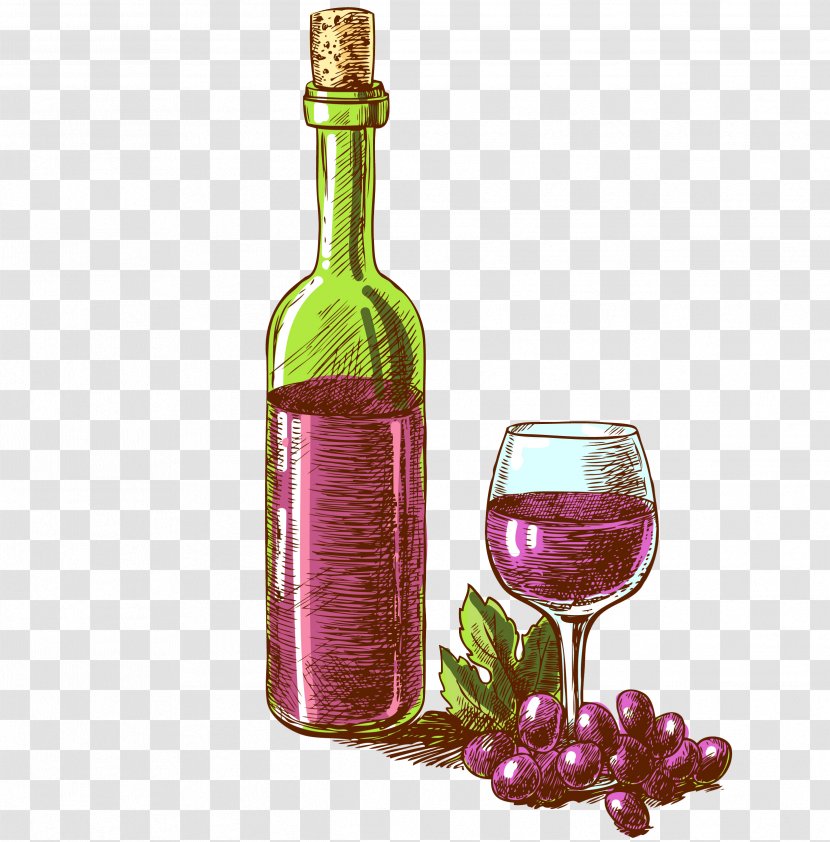 Sparkling Wine Champagne Bottle Illustration - Glass - Vintage Transparent PNG