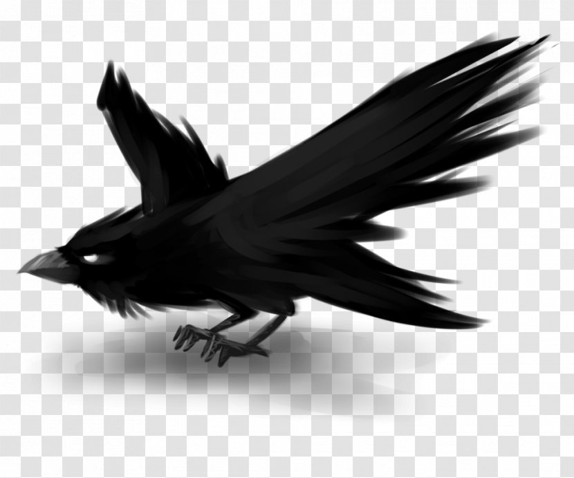 Avatar DeviantArt Digital Art Drawing - Crow Like Bird - Raven Transparent PNG