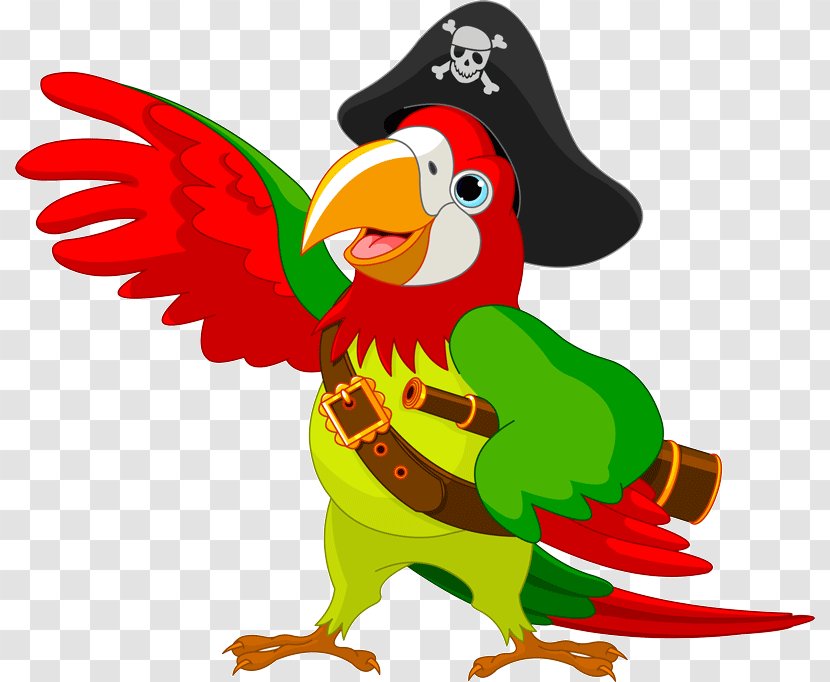 Pirate Parrot Clip Art Bird Illustration Transparent PNG