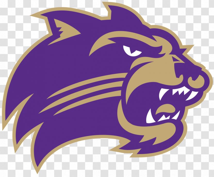 Western Carolina University Catamounts Women's Basketball Men's The Citadel, Military College Of South Citadel Bulldogs Football Transparent PNG