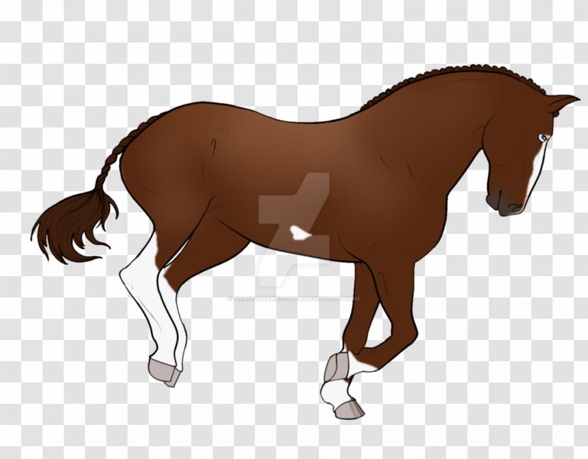 Mane Mustang Stallion Pony Foal Transparent PNG