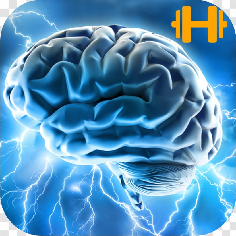 Brain Cognition Mind Thought Nootropic - Cartoon Transparent PNG