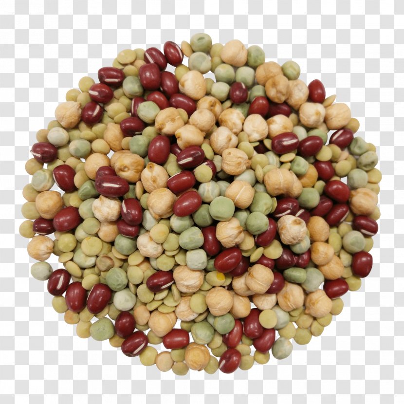 Bean Legume Food Khorasan Wheat Sprouting - Beans Transparent PNG