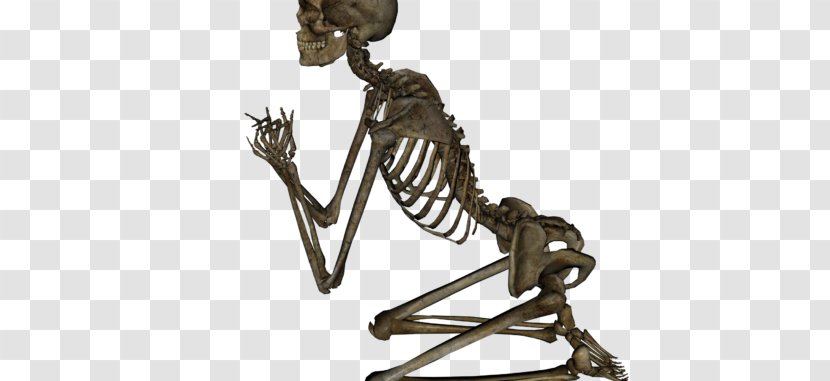 Clip Art Skeleton Skull Image - Romeo Flag Transparent PNG
