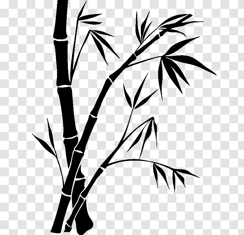 Bamboo Painting Drawing - Plant - Zen Transparent PNG