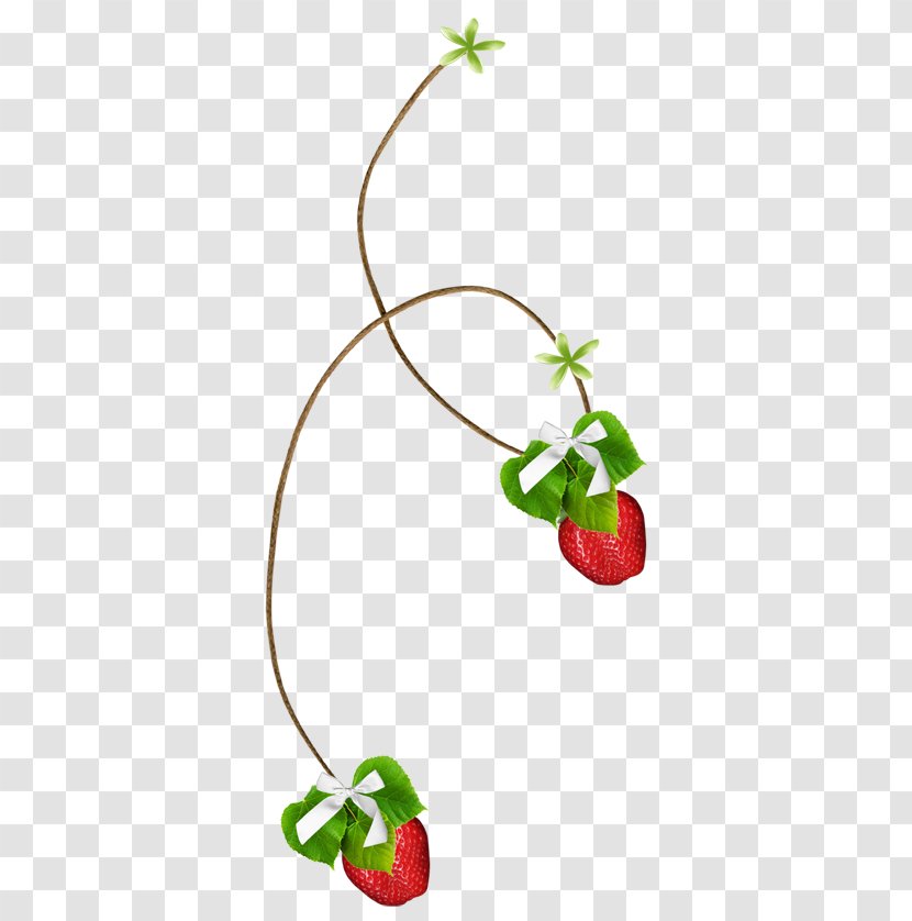Strawberry Tree Amorodo Clip Art - Auglis Transparent PNG