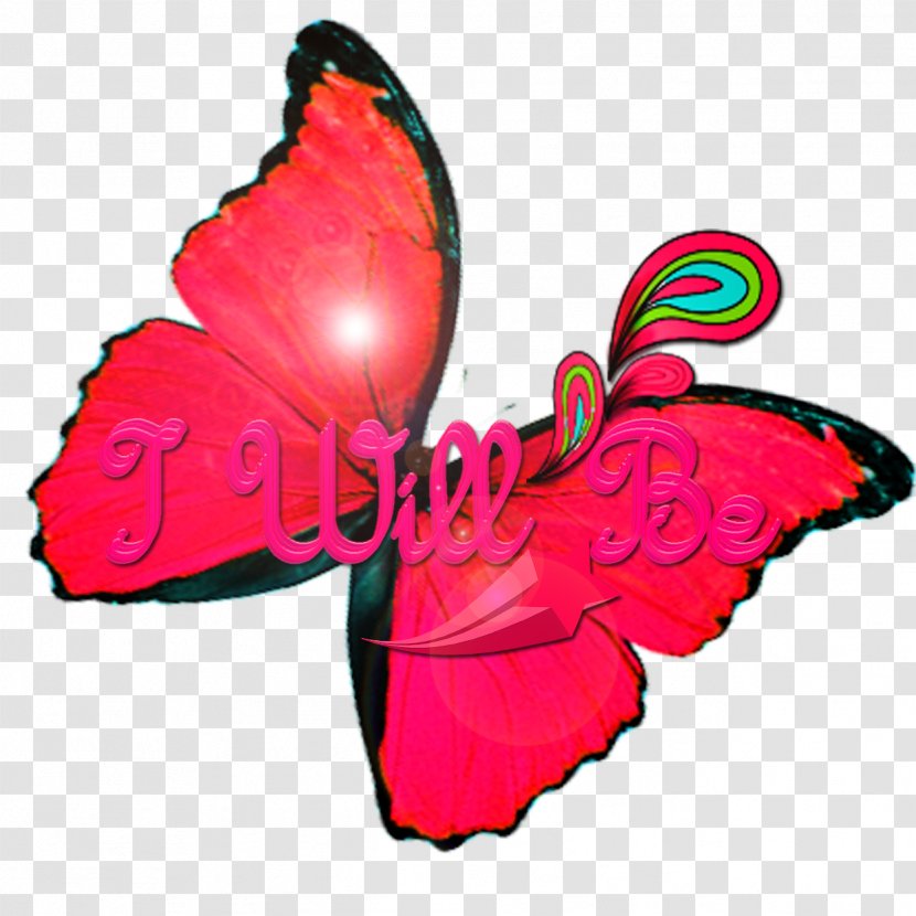 Monarch Butterfly Pink M Blue Clip Art - Invertebrate Transparent PNG