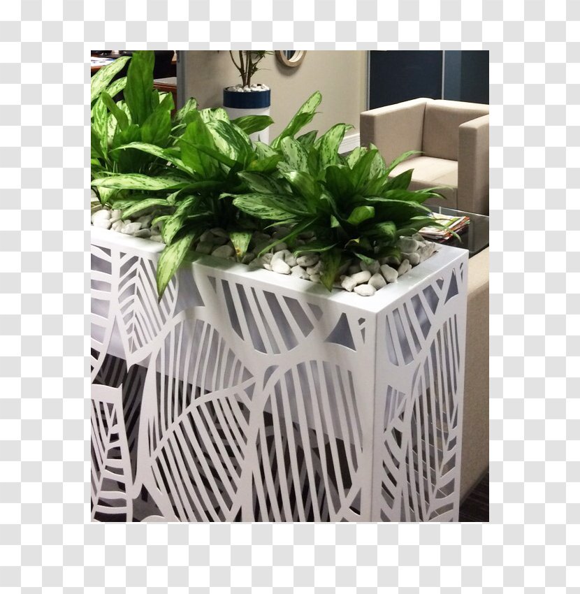 Flowerpot Furniture Houseplant Swiss Cheese Plant Office - Stainless Steel - Monstera Transparent PNG