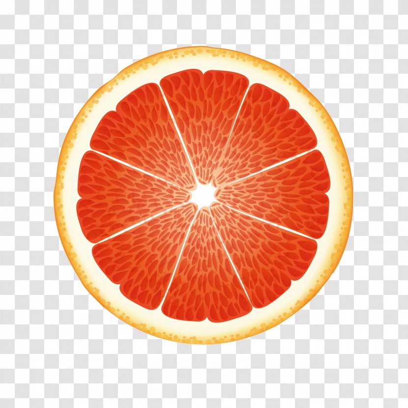 Grapefruit Cartoon Orange - Pomelo - Half Transparent PNG