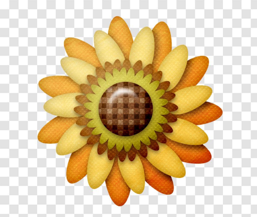 Sunflower M Close-up - Autum Flowers Transparent PNG