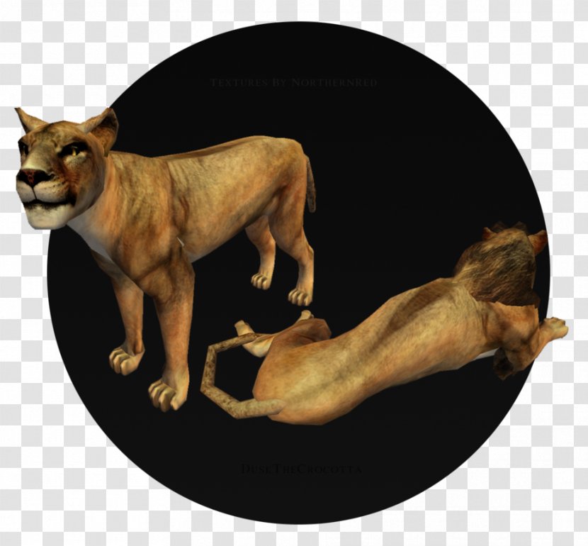 Dog Breed African Wild The Lion King Felidae German Shepherd - Snout Transparent PNG