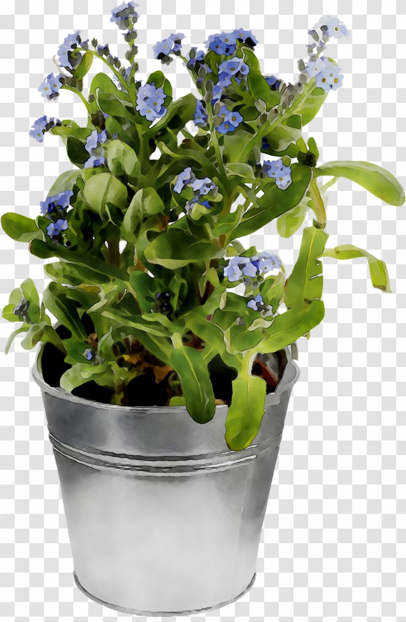 Spring Greens Herb - Flowering Plant Transparent PNG