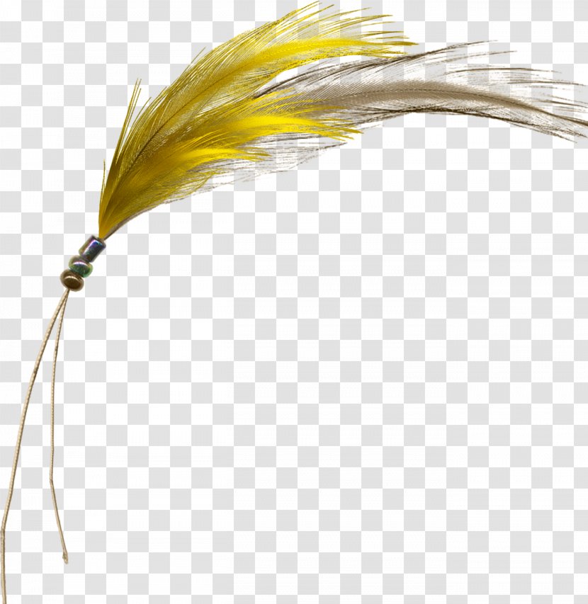 Yellow Feather Gratis - Feathers Transparent PNG