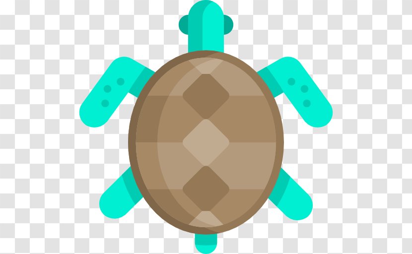 Tortoise Sea Turtle Transparent PNG