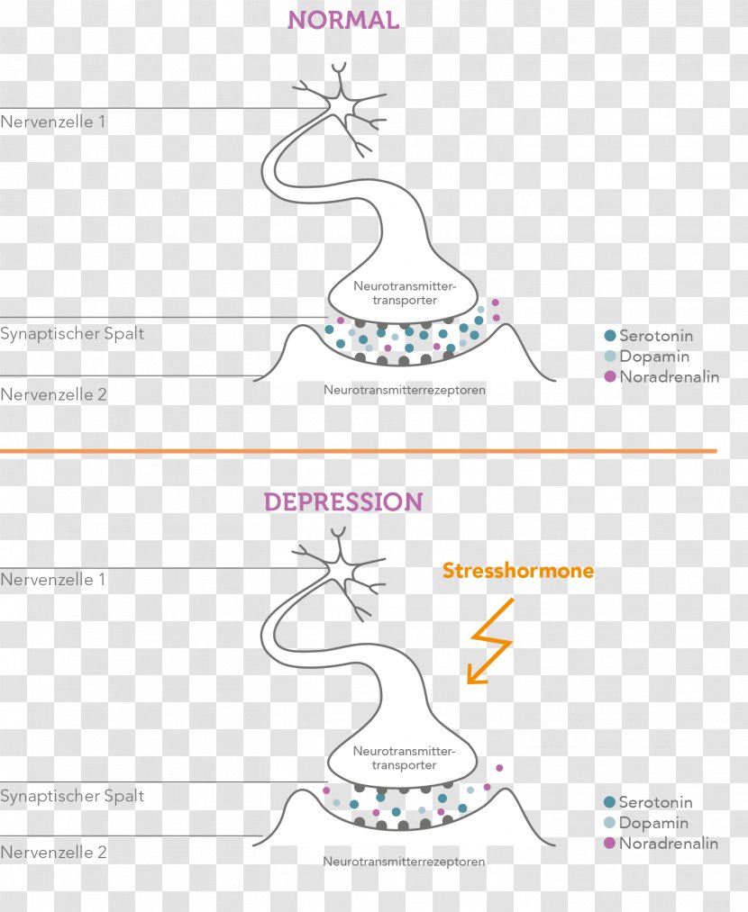 Major Depressive Disorder Agy Stress Hormone Neurobiology Bipolar - Watercolor - Flower Transparent PNG