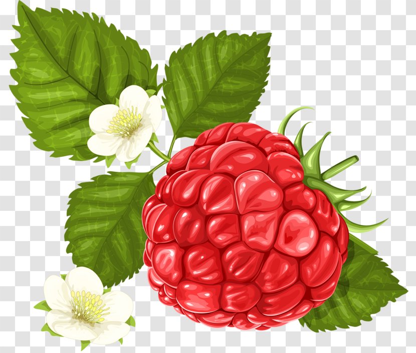Frutti Di Bosco Raspberry Clip Art - Strawberries - White Transparent PNG