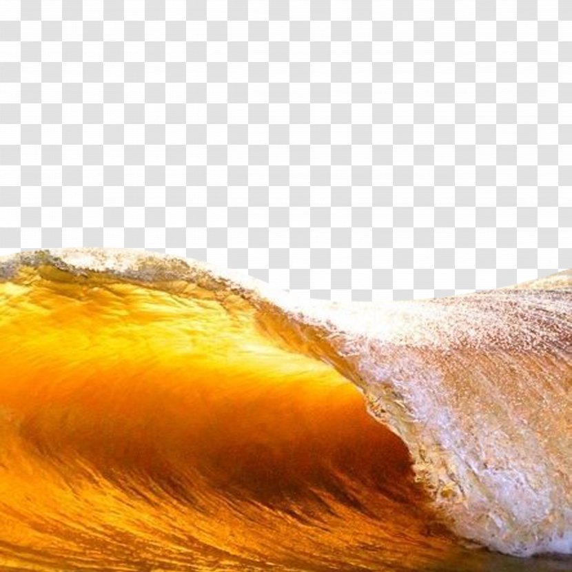 Wind Wave Sea Ocean - Photography - Golden Water Transparent PNG