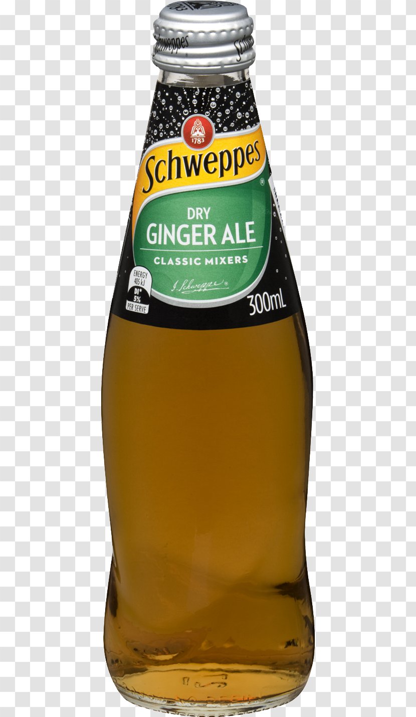 Beer Ginger Ale Fizzy Drinks Tonic Water Lemonade - Drink Transparent PNG