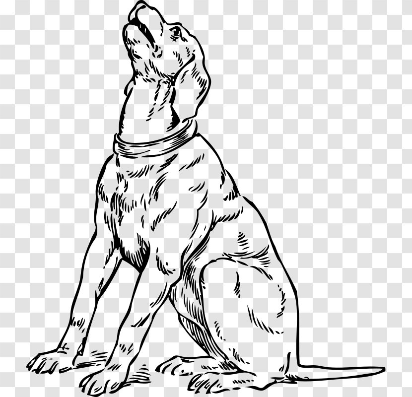 Dachshund Basset Hound Beagle Maltese Dog Clumber Spaniel - Breed - Line Art Transparent PNG