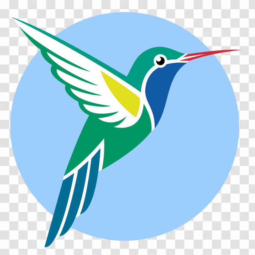 Broad-billed Hummingbird Vector Graphics Ruby-throated - Bird Transparent PNG