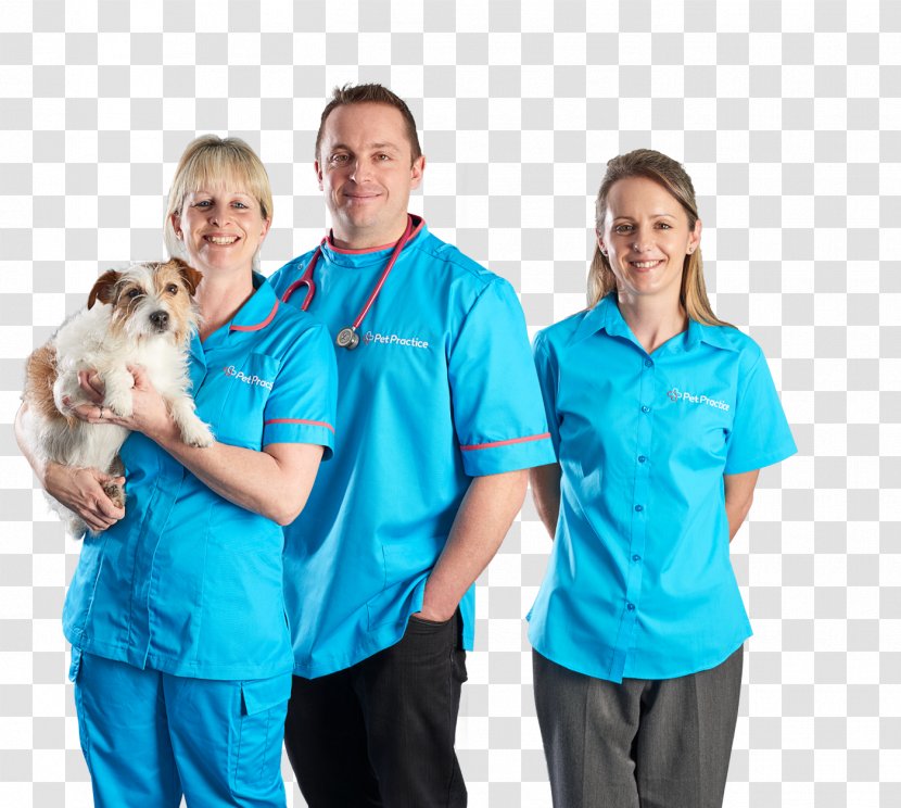 Pet Practice Veterinarian Veterinary Medicine Surgery - Bournemouth - Village Marnehuizen Transparent PNG