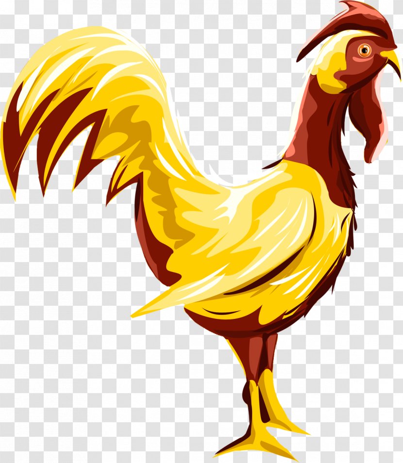 Chicken Rooster Livestock Poultry - Beak Transparent PNG
