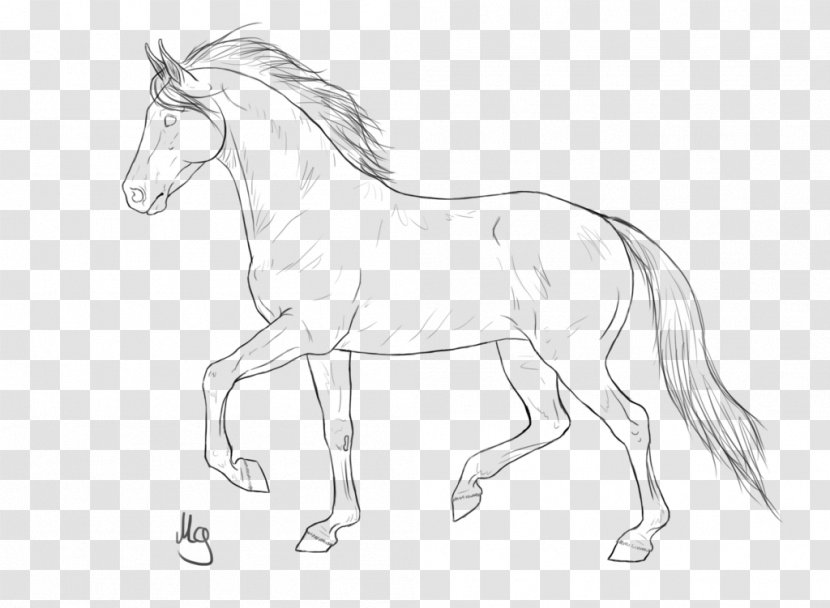American Quarter Horse Mustang Pony Stallion Colt - Animal Figure - Line Drawing Transparent PNG