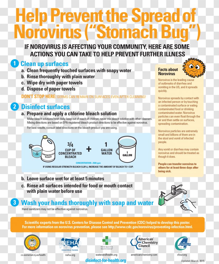 Norovirus Gastroenteritis Food Safety Health Transparent PNG