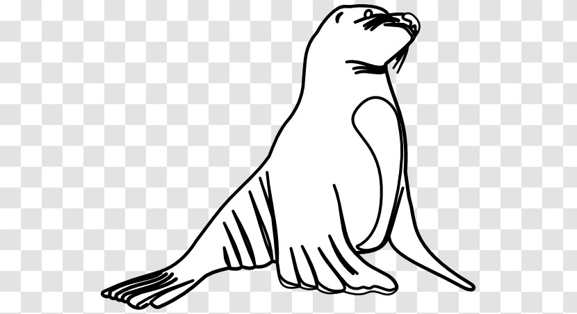 Earless Seal Sea Lion Clip Art - Mammal - Outline Cliparts Transparent PNG