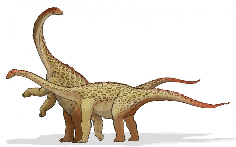 Dinosaur King Saltasaurus Tyrannosaurus Late Cretaceous Apatosaurus - Organism Transparent PNG