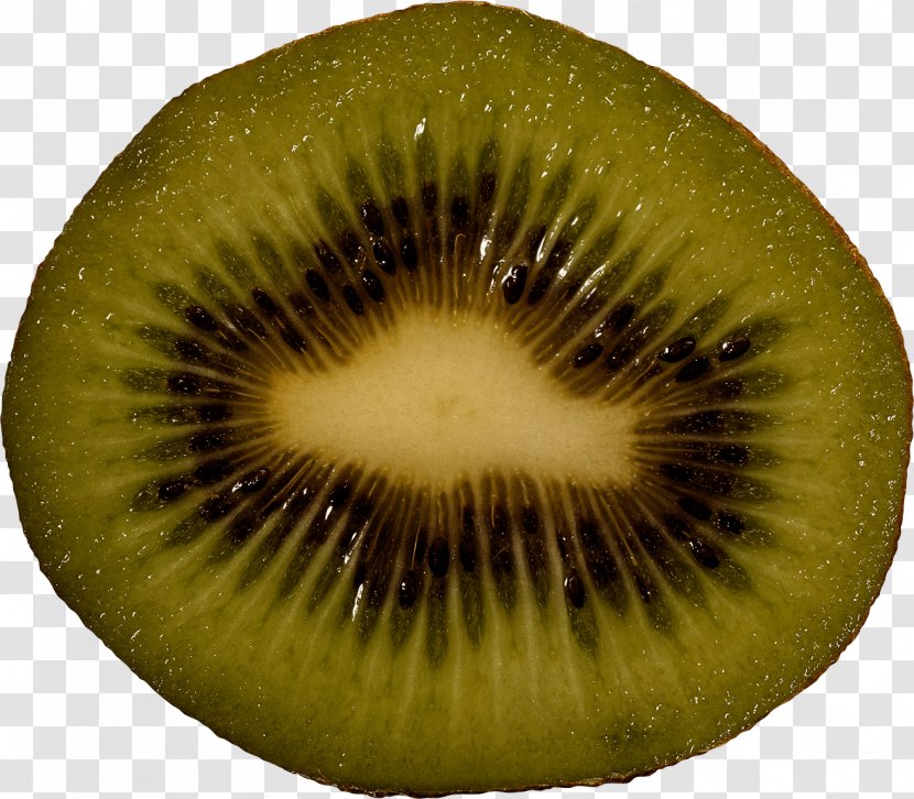 Kiwifruit Ripening - Stock Photography - Kiwi Image Fruit Pictures Download Transparent PNG