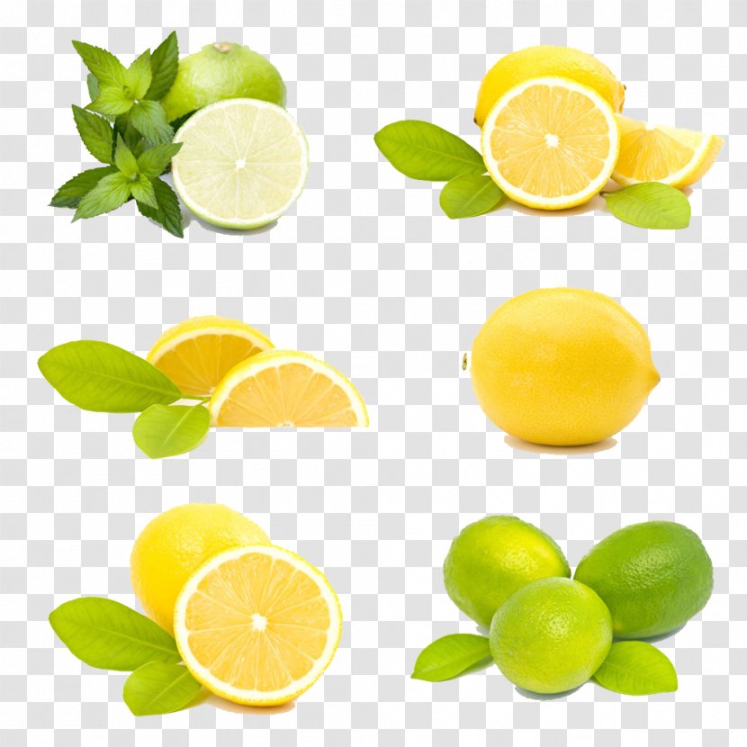 Lemon Fruit - Sweet - Fresh Transparent PNG