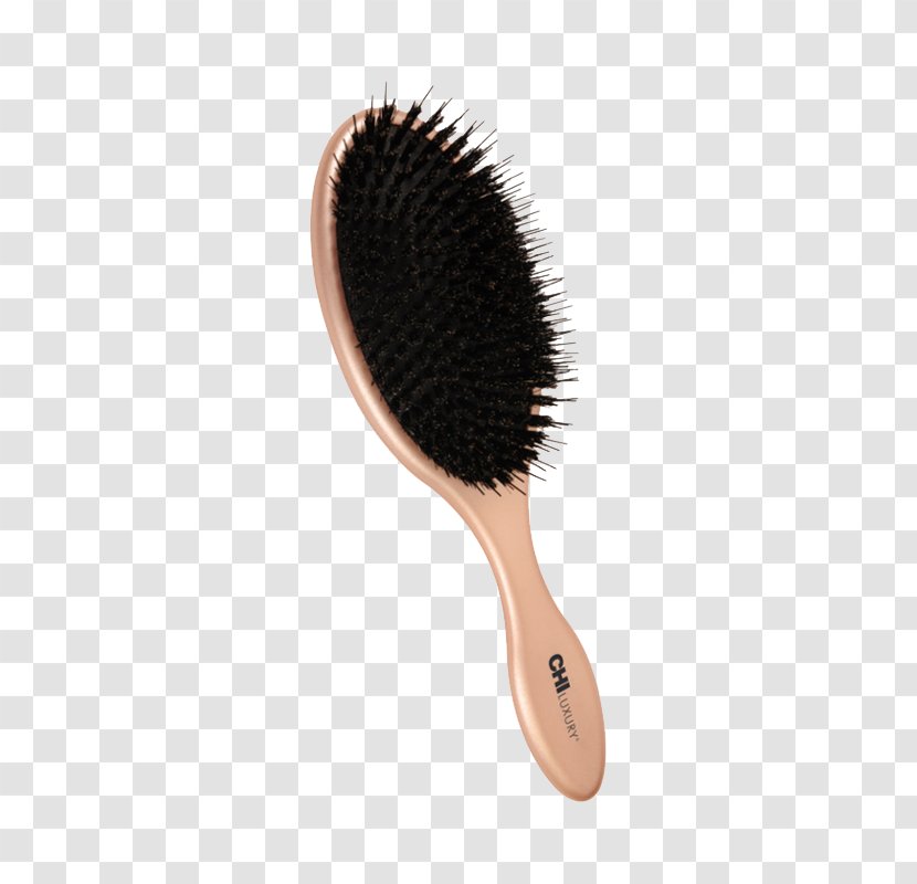 Comb Hairbrush Hairdresser - Hair Care Transparent PNG