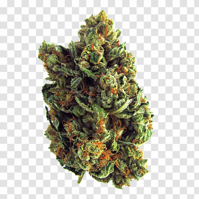 Kush Medical Cannabis Drug Haze - Marijuana Transparent PNG