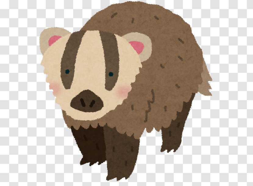 Bear Togetter News Court Person - Mammal Transparent PNG