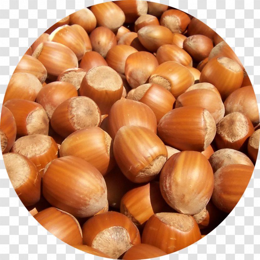 Hazelnut Brazil Nut Fruit Tree Food - Mixed Nuts - Dry Transparent PNG