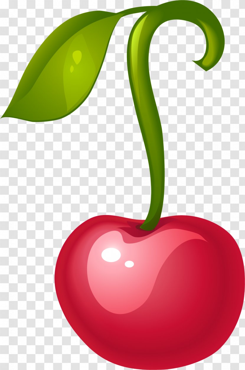 Cherry Fruit Clip Art - Plant - Hand Painted Red Transparent PNG