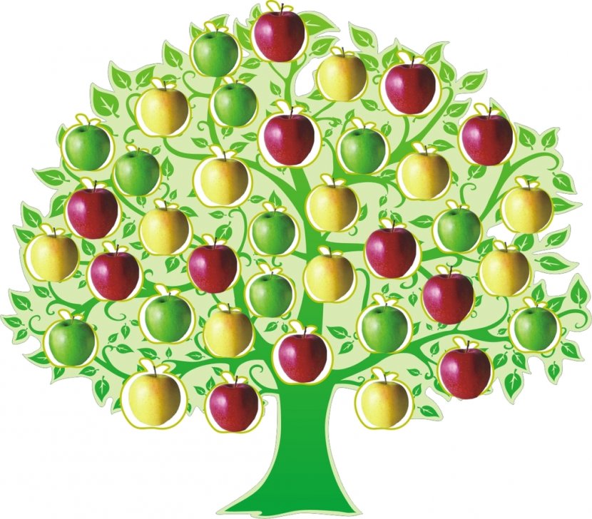 Fruit Tree Apple Dwarfing Clip Art - Malus Sieversii Transparent PNG