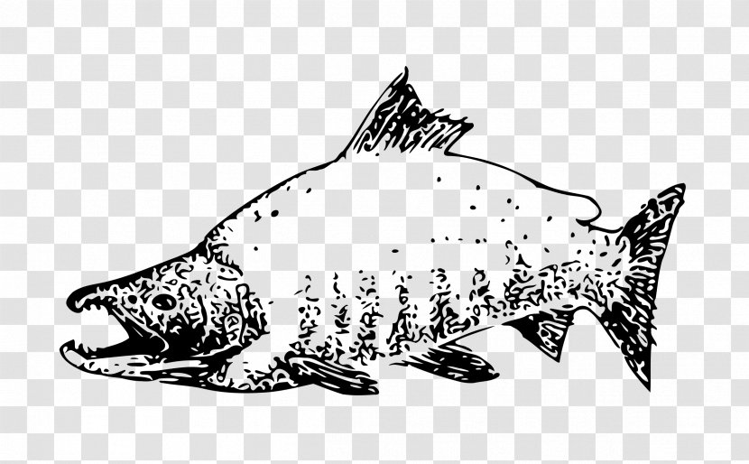 Sockeye Salmon Chinook Pink Chum Clip Art - Black And White Transparent PNG