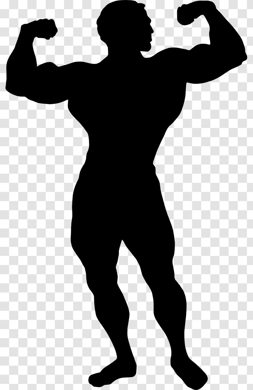 Bodybuilding Clip Art Illustration Silhouette Image - Physical Fitness - Standing Transparent PNG