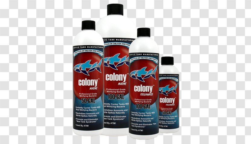 ATM Colony Marine Professional Grade Nitrifying Bacteria Nitrification Fresh Water - Aquariums - Fasting Month Transparent PNG