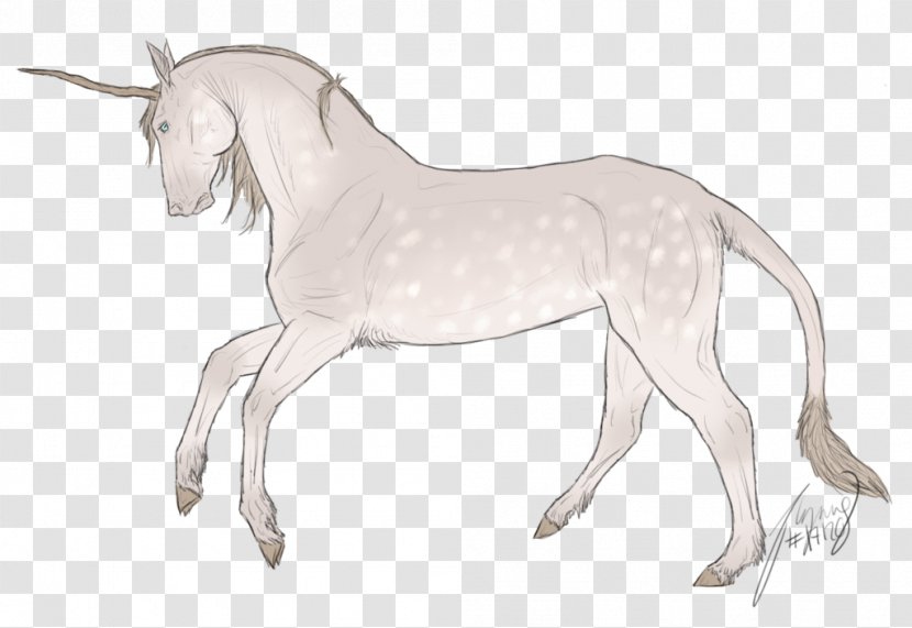 Mane Mustang Foal Donkey Pony - Pull The Bottom Transparent PNG